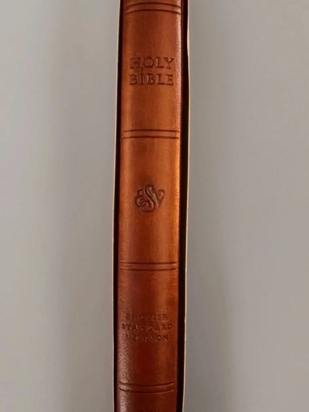 Bible (ESV) English Standard Version Large Print Value Thinline TruTone Tan New.